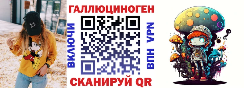 MEGA ТОР  как найти наркотики  Красный Сулин  Галлюциногенные грибы Psilocybe 