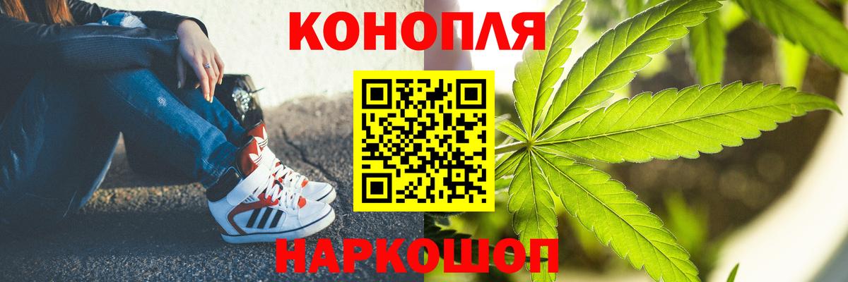 Шишки марихуана план  Вход с VPN  Красный Сулин  Конопля THC 21% 